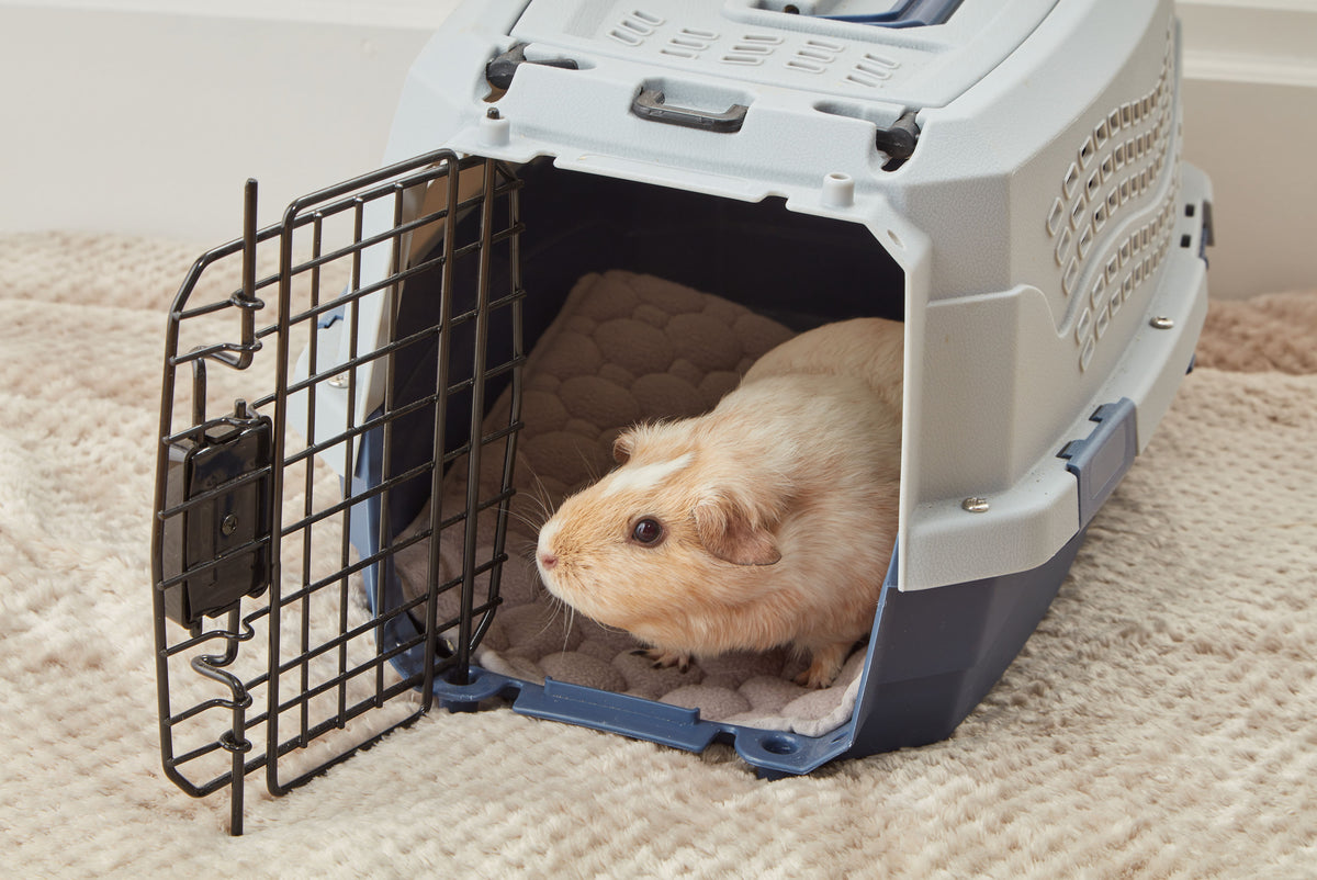 Guinea Pig Pads product image 9