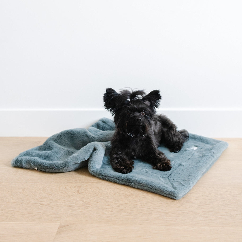 Pet Blanket product image 3
