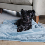 Pet Blanket product image 5