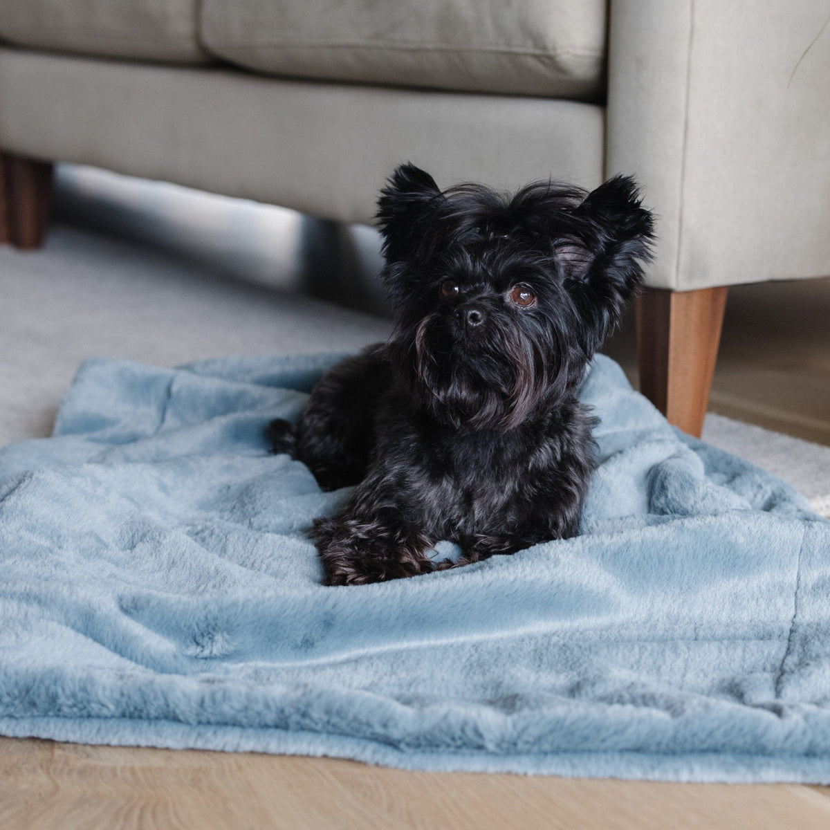 Pet Blanket product image 5