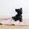 Pet Blanket product image 9