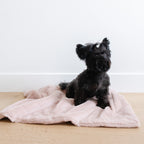 Pet Blanket product image 9