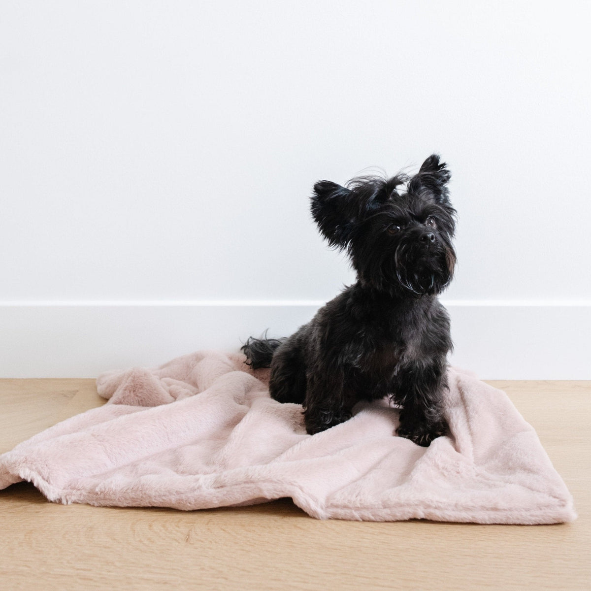 Pet Blanket product image 9