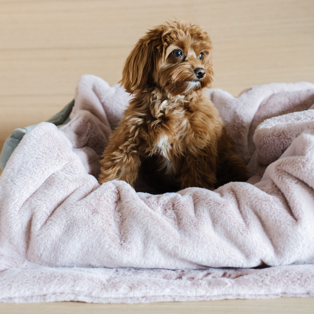 Pet Blanket product image 10
