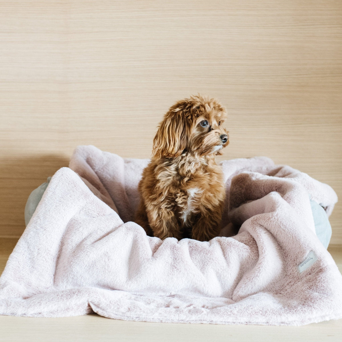 Pet Blanket product image 17