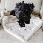 Pet Blanket product image 21