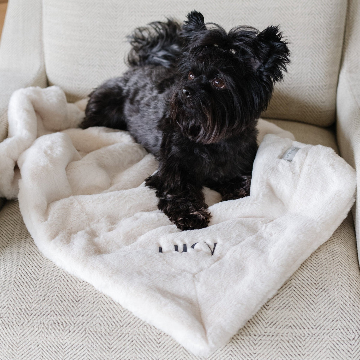 Pet Blanket product image 21