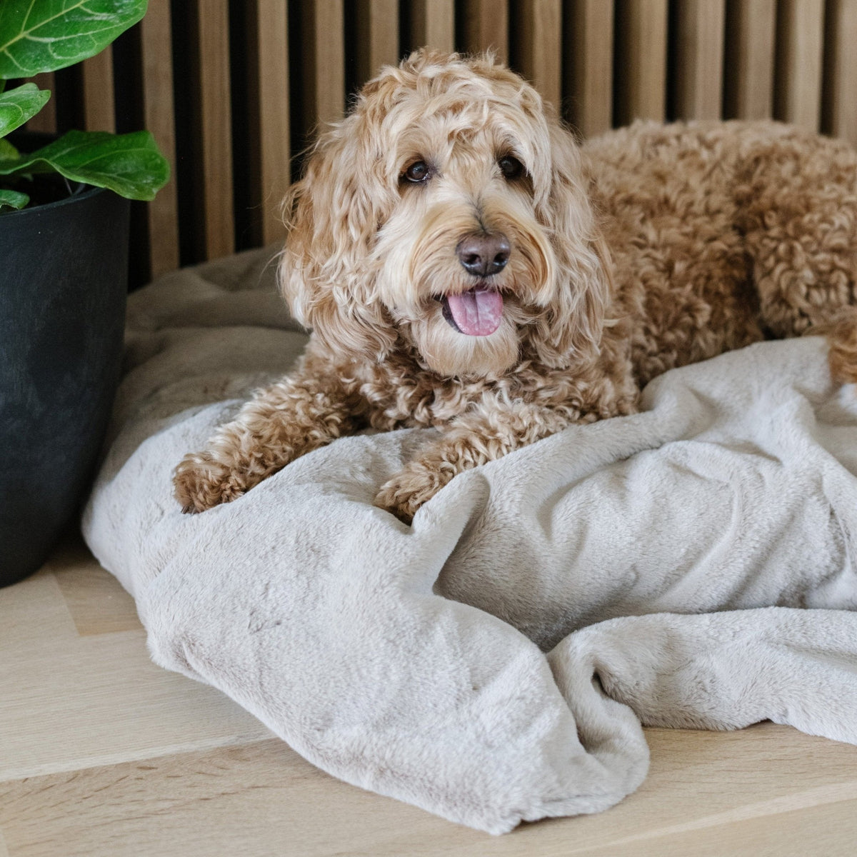 Pet Blanket product image 26