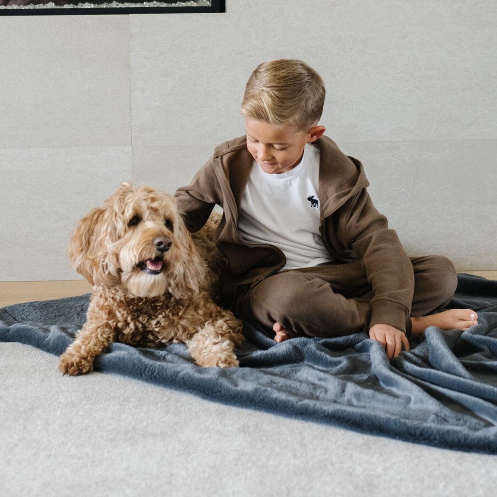 Pet Blanket product image 29
