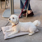 Bolster Dog Bed product image 7