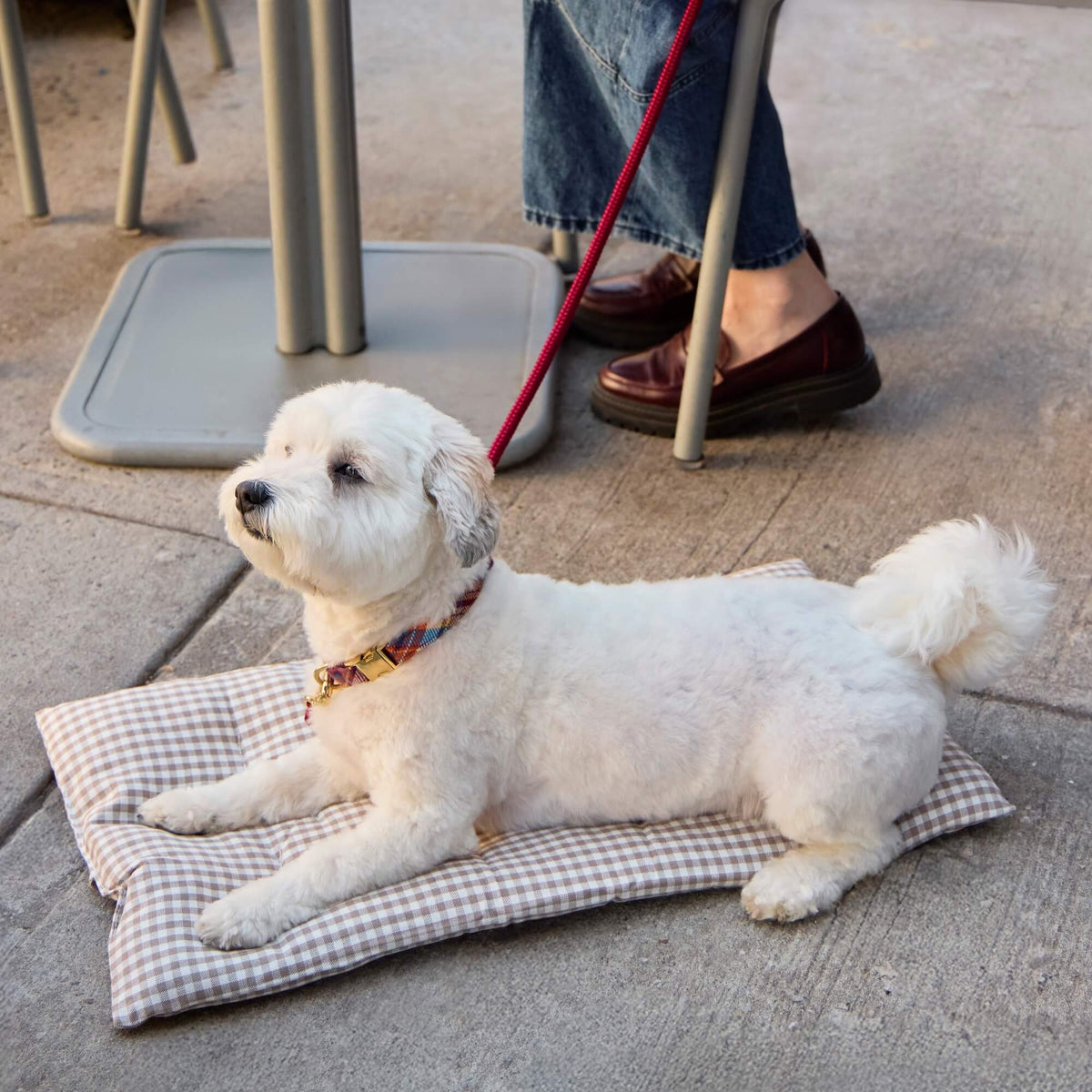 Bolster Dog Bed product image 7