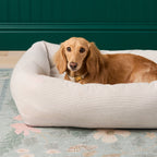 Bolster Dog Bed product image 7