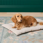 Bolster Dog Bed product image 8