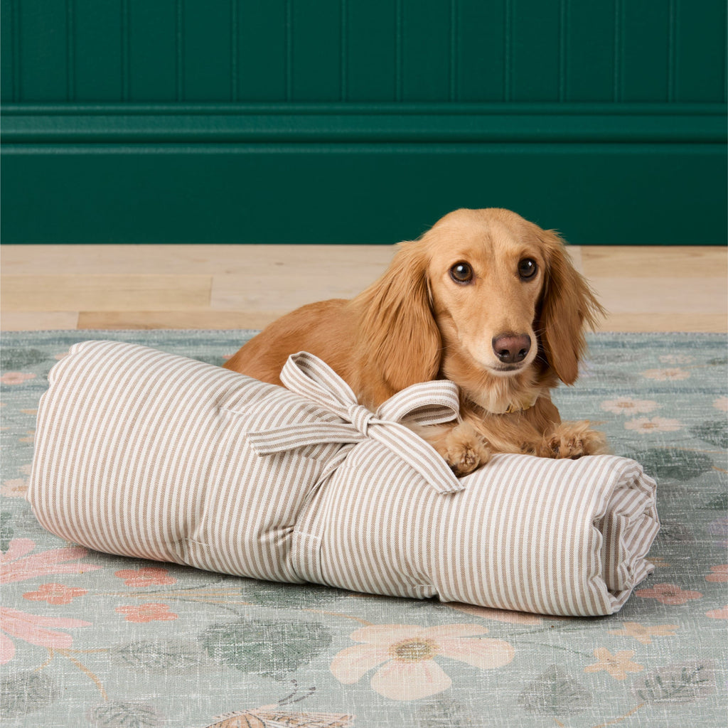 Bolster Dog Bed product image 9