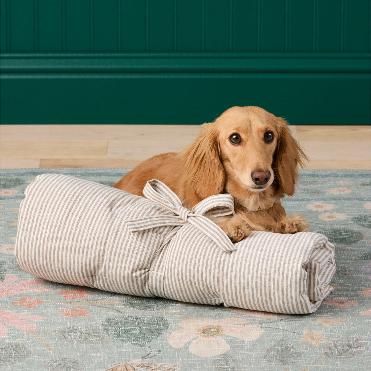 Bolster Dog Bed product image 9