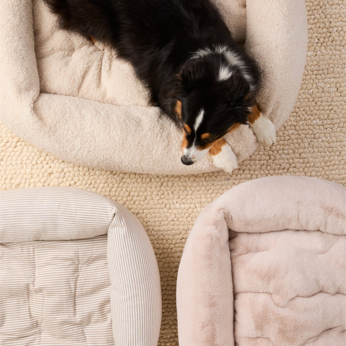 Bolster Dog Bed product image 10