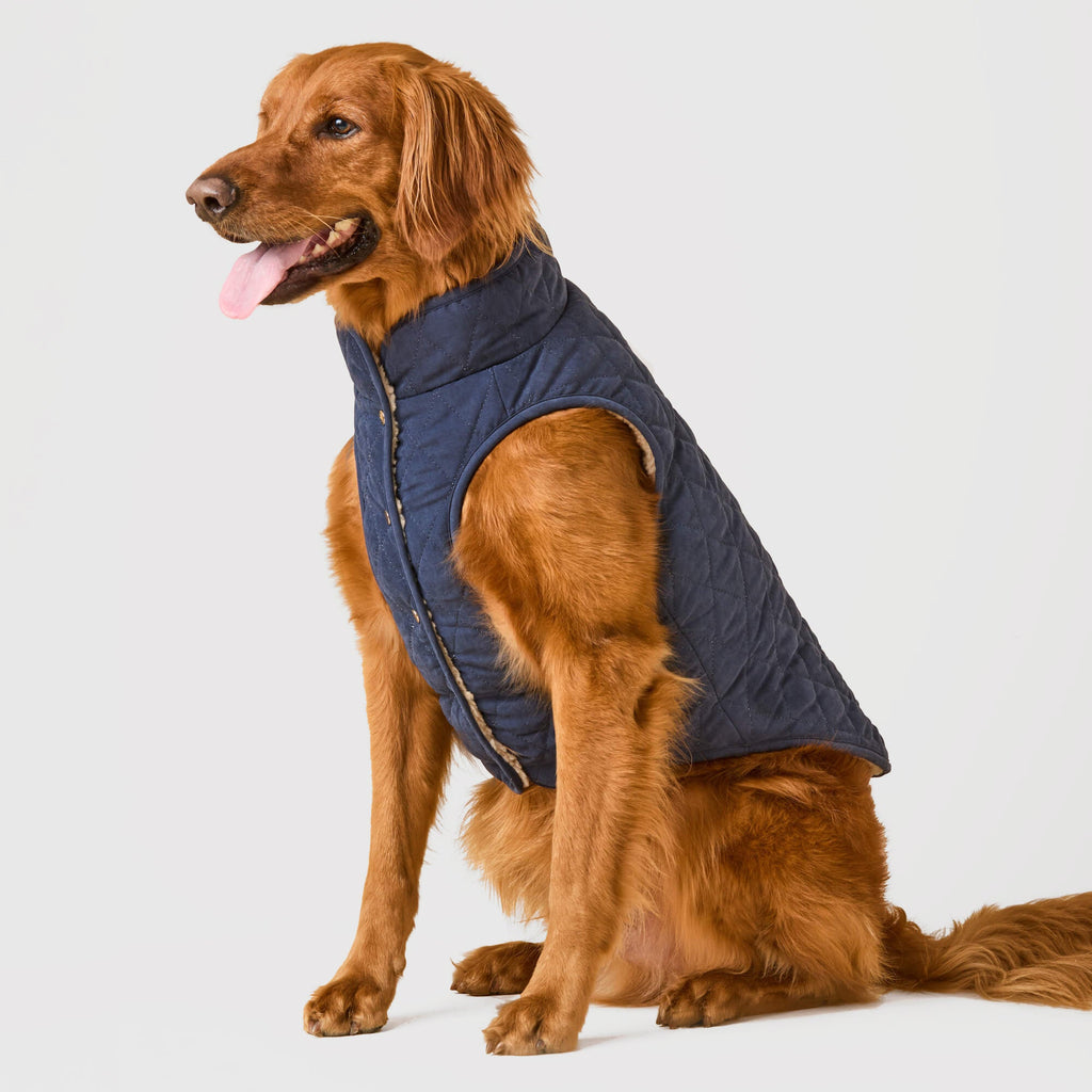 Dog Jacket product image 1
