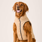 Dog Jacket product image 4