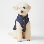 Dog Jacket product image 5