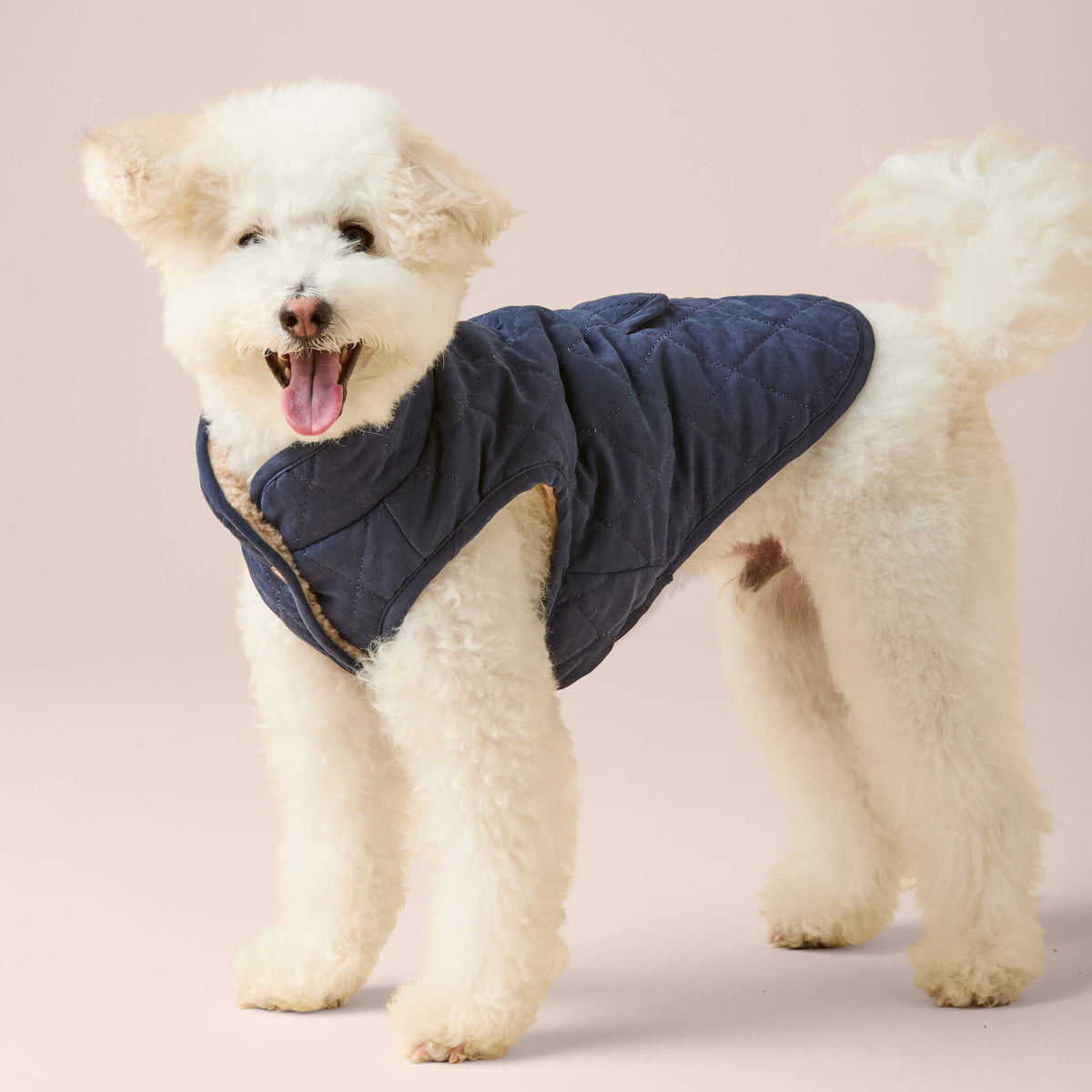 Dog Jacket product image 13