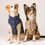 Dog Jacket product image 14