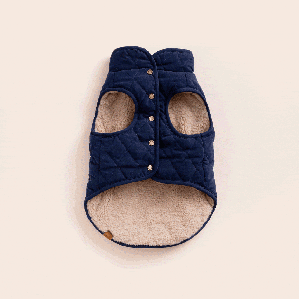 Dog Jacket product image 15