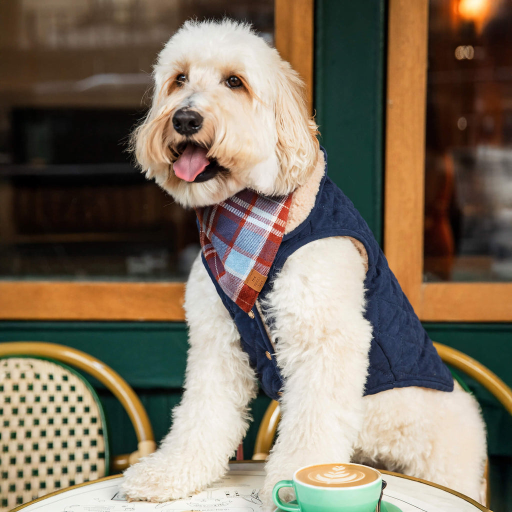 Dog Jacket product image 16