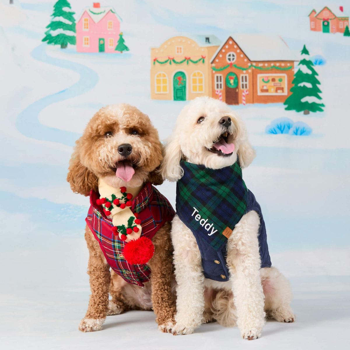 Dog Jacket product image 19