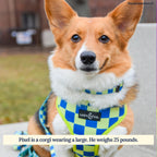 Have a Nice Day Reversible Harness