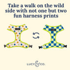 Have a Nice Day Reversible Harness