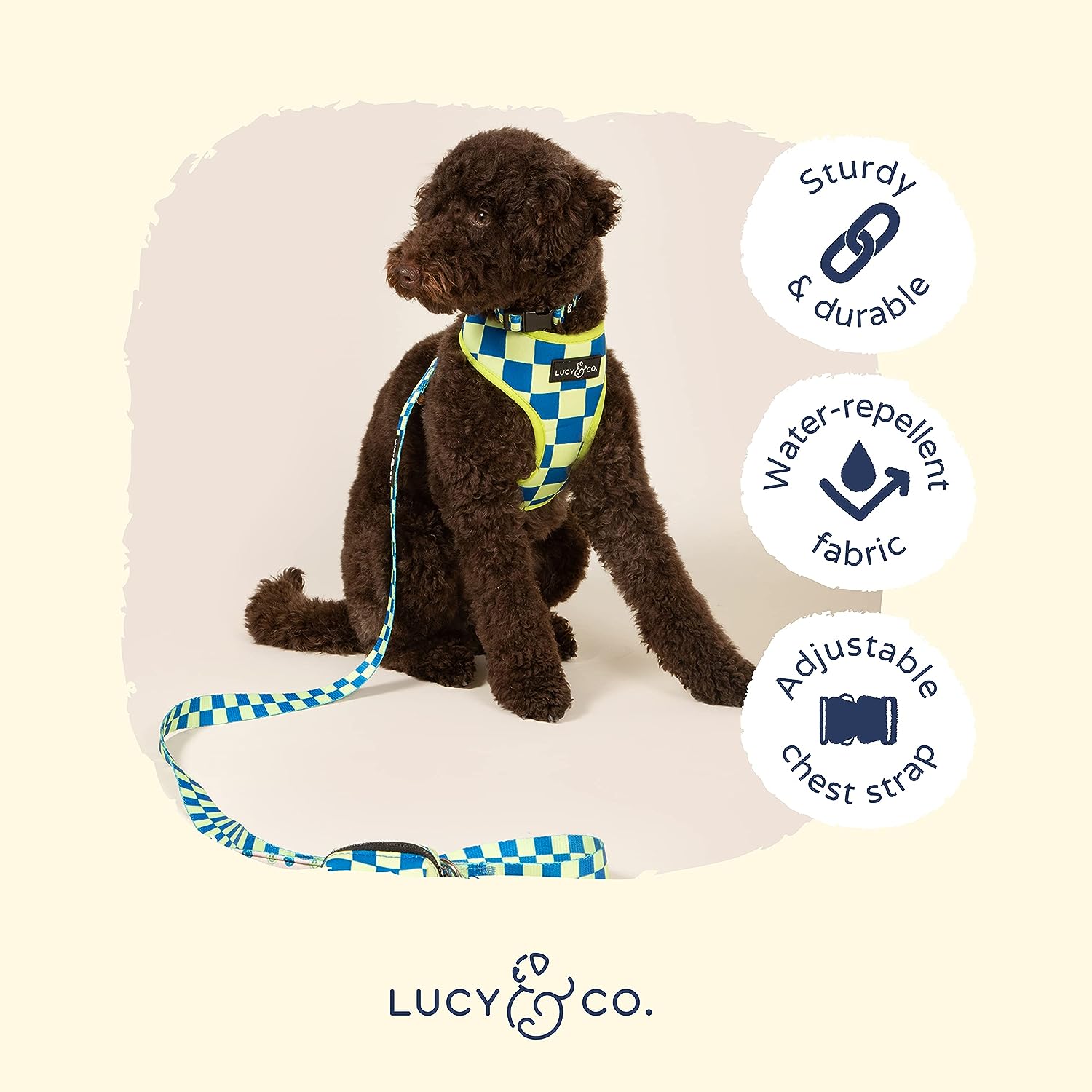 Have a Nice Day Reversible Harness