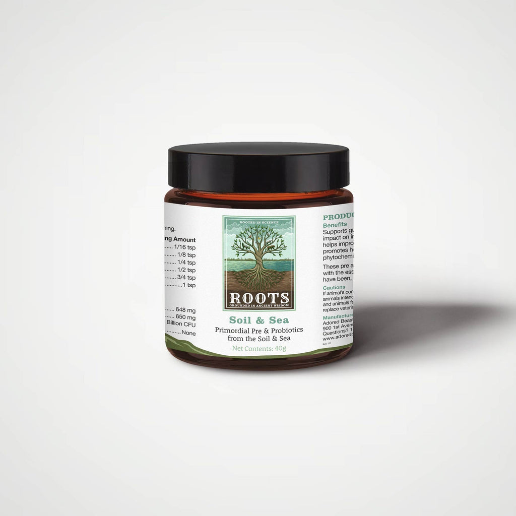 Prebiotic Probiotic Supplement product image 2
