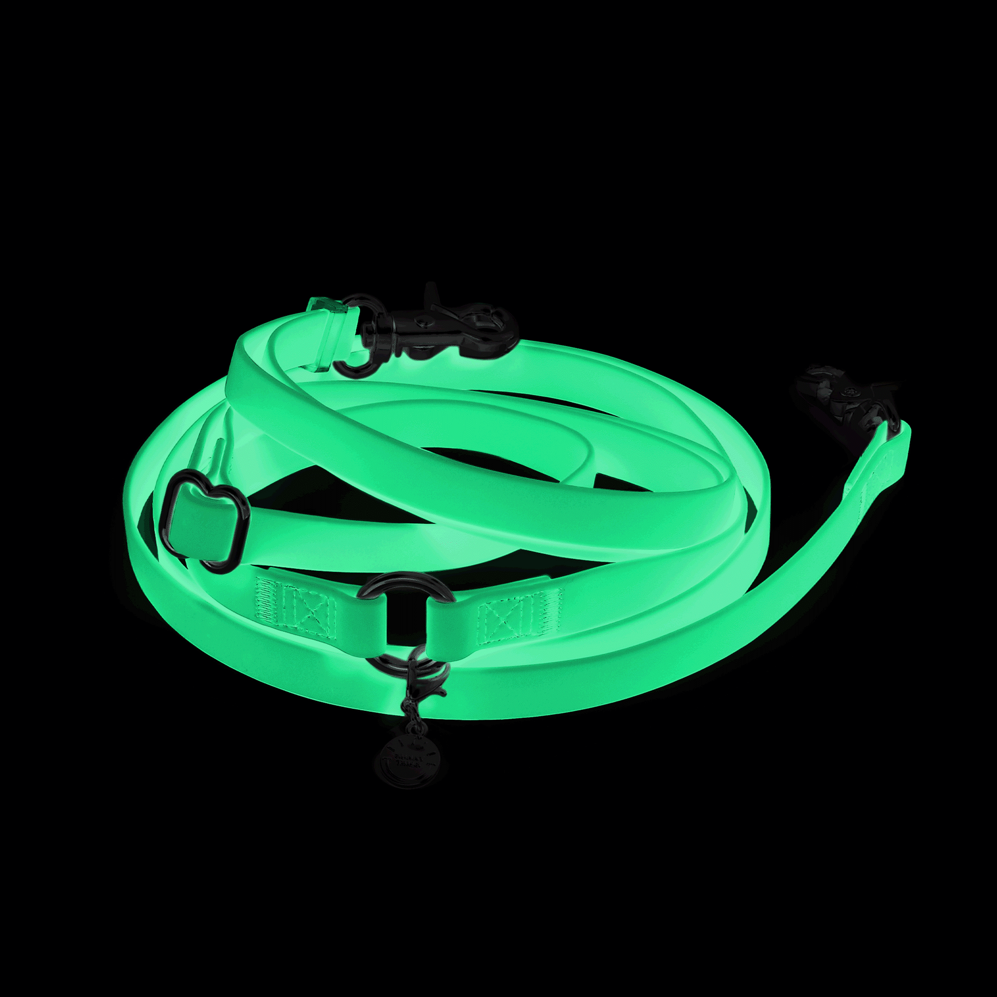 Hands-Free Dog Leash product image 1