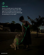Hands-Free Dog Leash product image 2