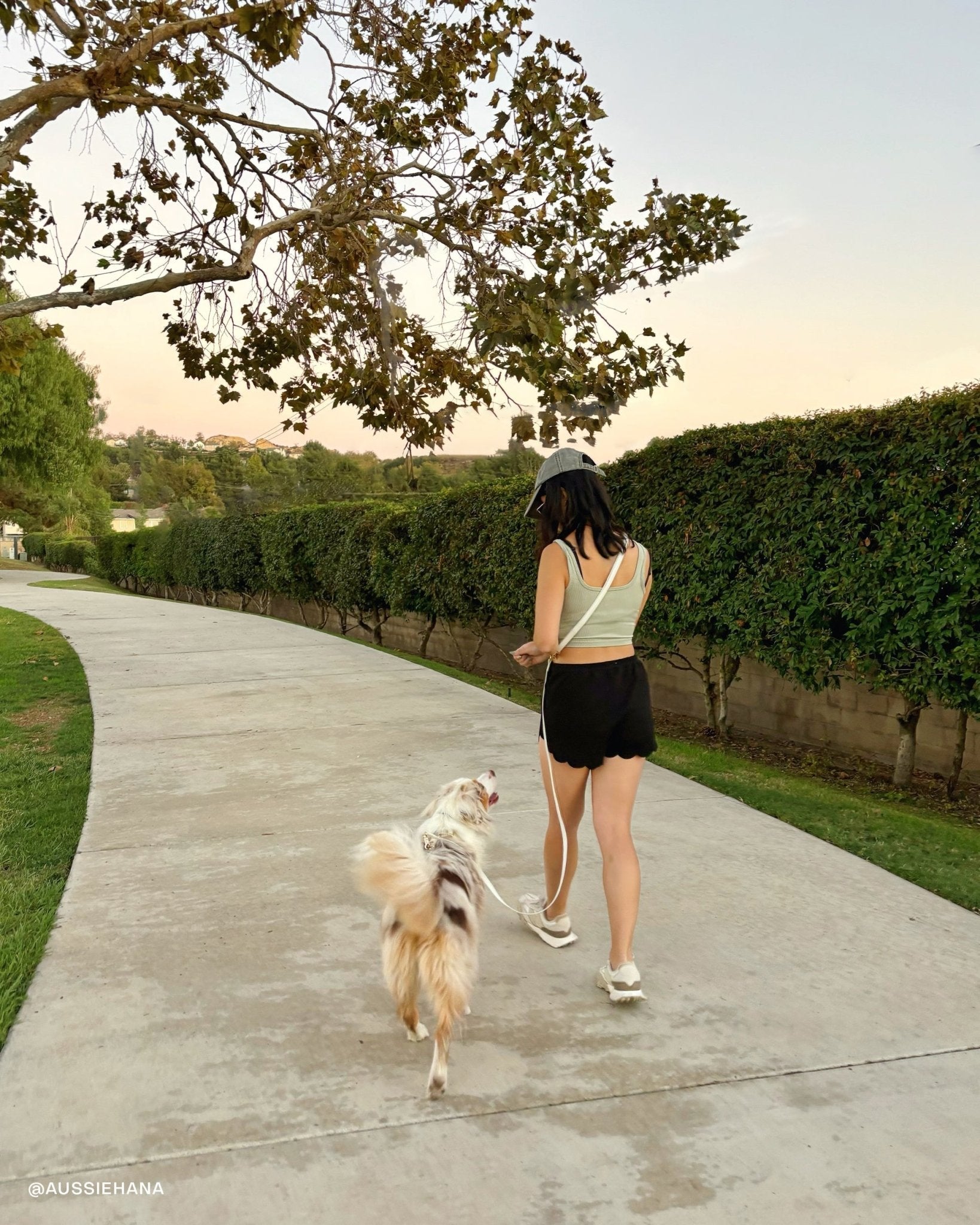 Hands-Free Dog Leash product image 3