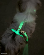 Hands-Free Dog Leash product image 13