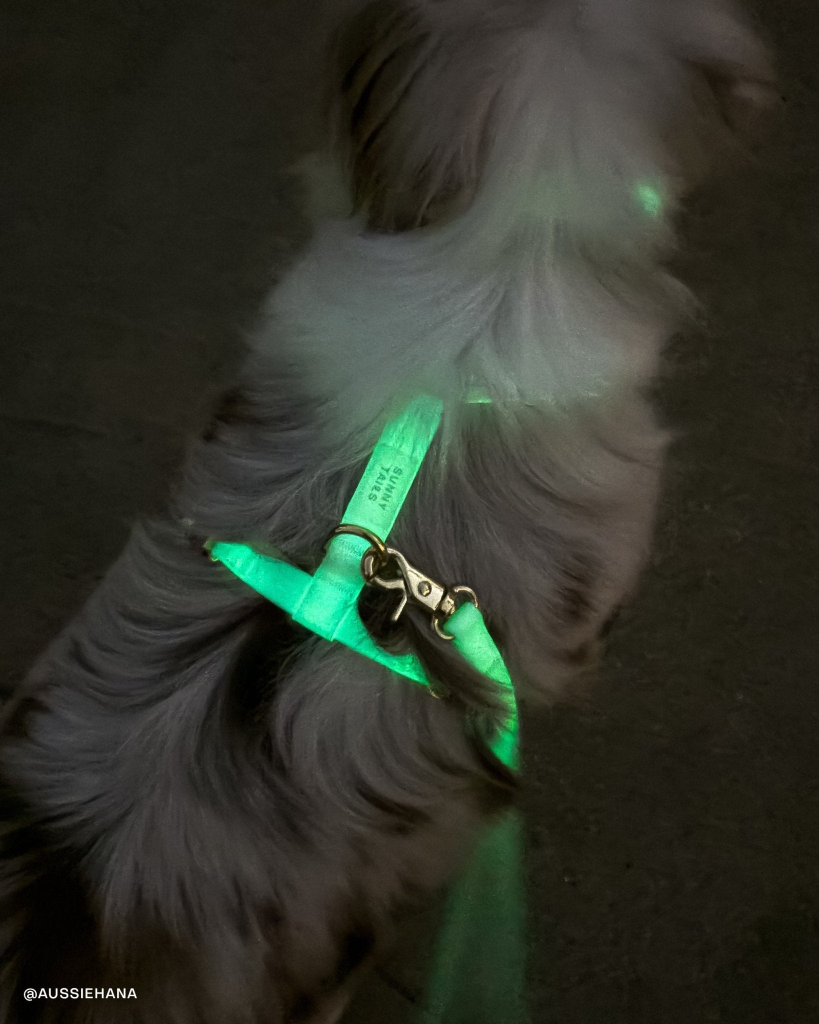 Hands-Free Dog Leash product image 13