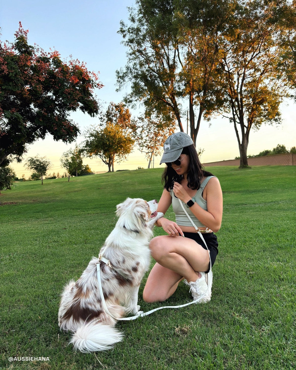 Hands-Free Dog Leash product image 14