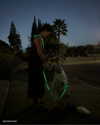 Hands-Free Dog Leash product image 15