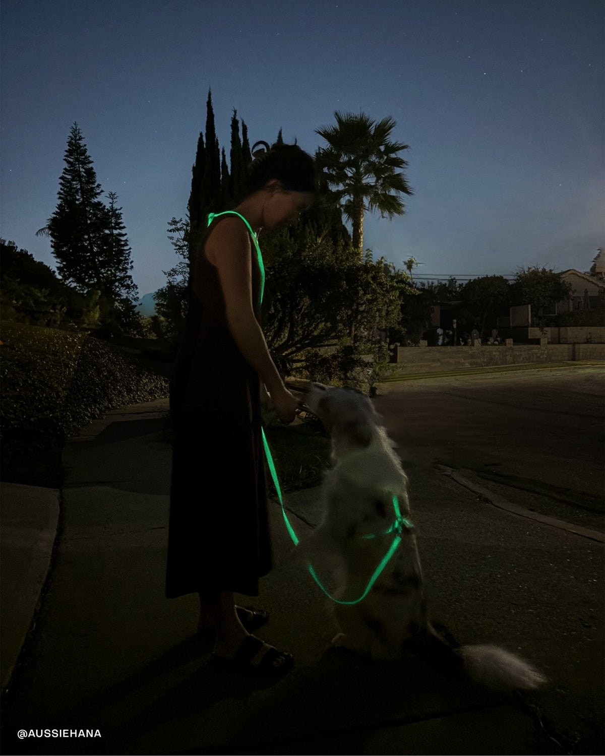 Hands-Free Dog Leash product image 15