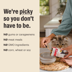 Wet Cat Food from The Honest Kitchen