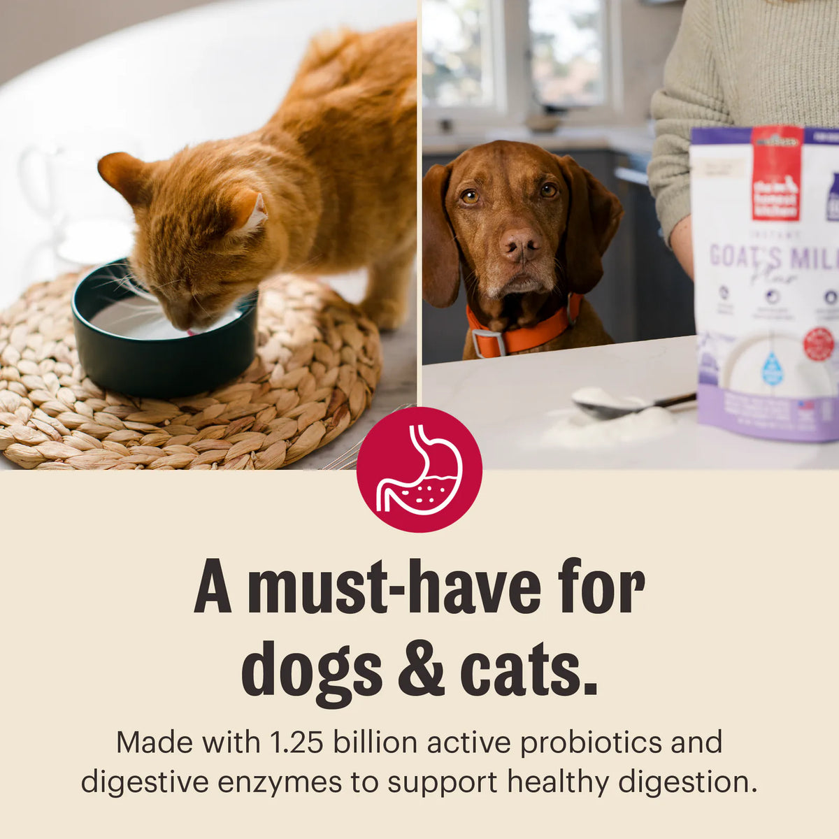 Daily Boosters Instant Goat's Milk Supplement for Dogs and Cats