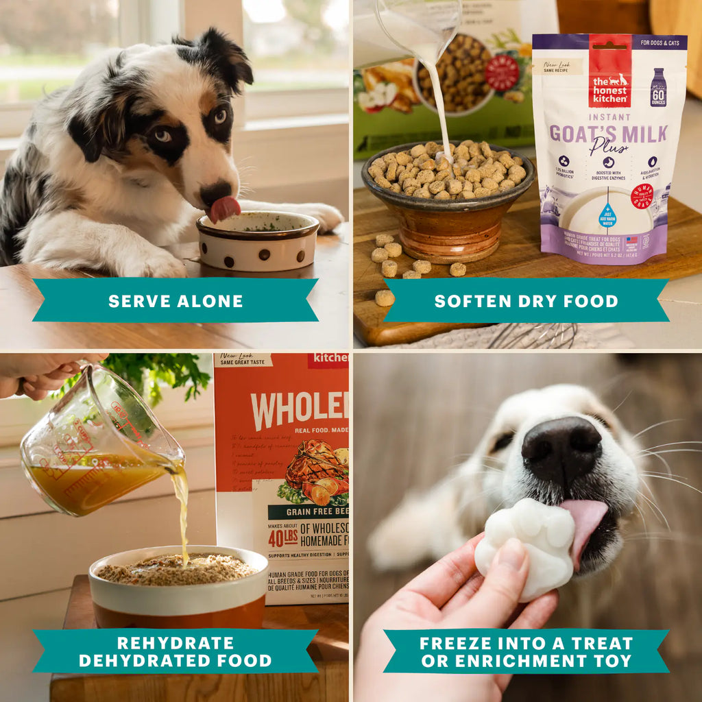 Supplements and Hydration for Dogs and Cats