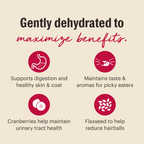 Dehydrated Cat Food from The Honest Kitchen