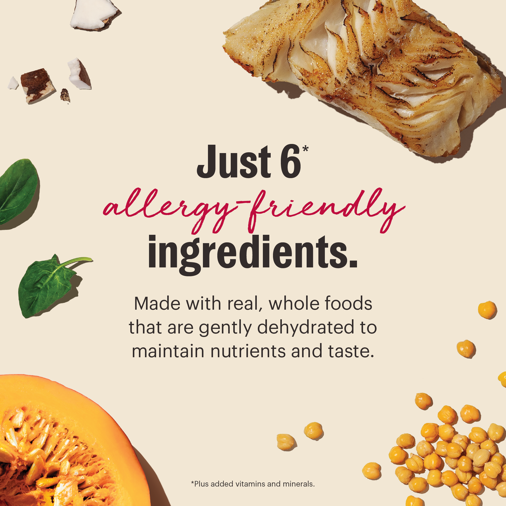 Limited Ingredient Fish dehydrated dog food from The Honest Kitchen
