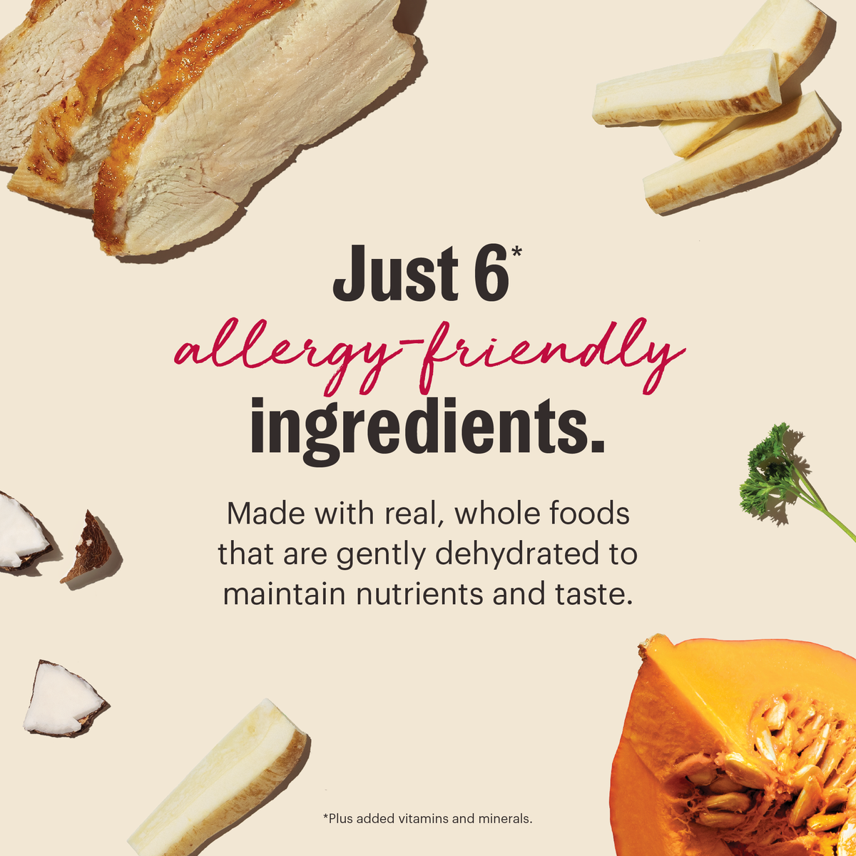 Limited Ingredient Turkey dehydrated dog food from The Honest Kitchen