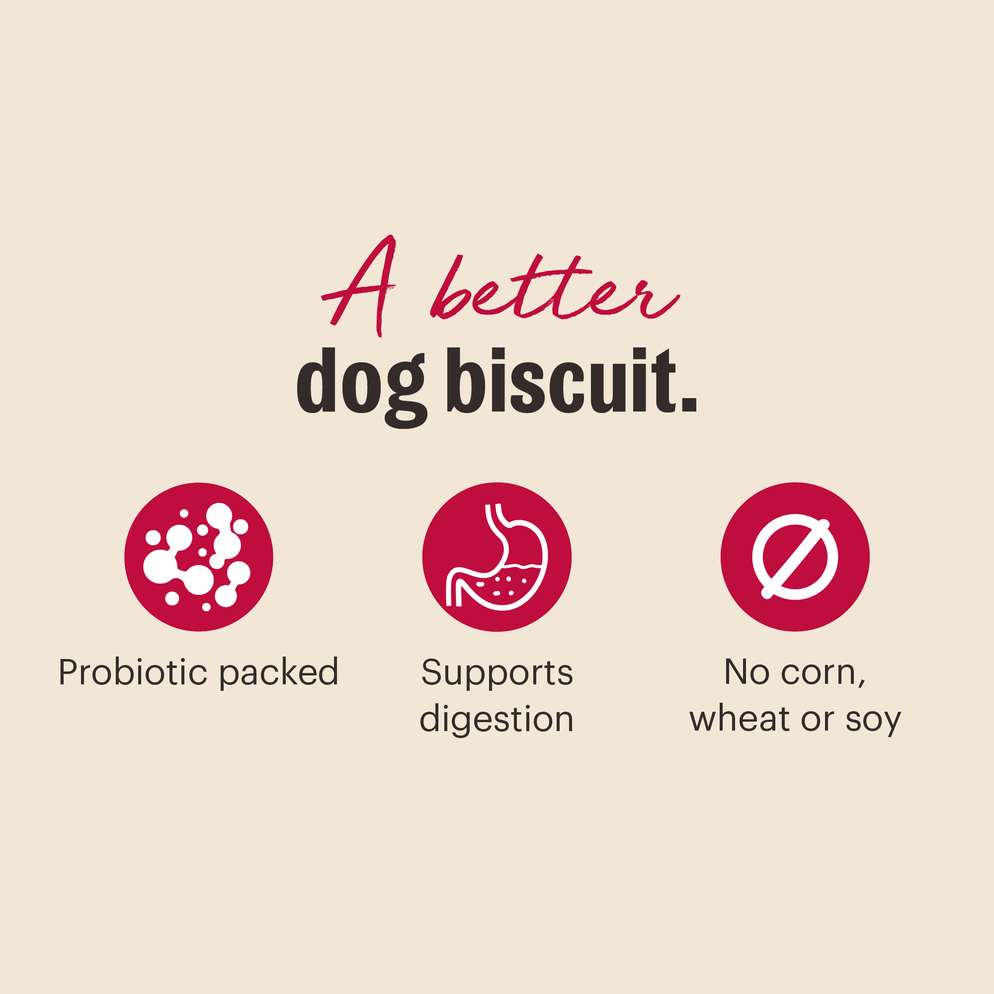 Goat's Milk N Cookies Crunchy Dog Treats with Probiotics from The Honest Kitchen