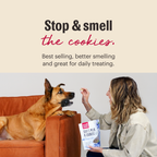 Goat's Milk N Cookies Crunchy Dog Treats with Probiotics from The Honest Kitchen