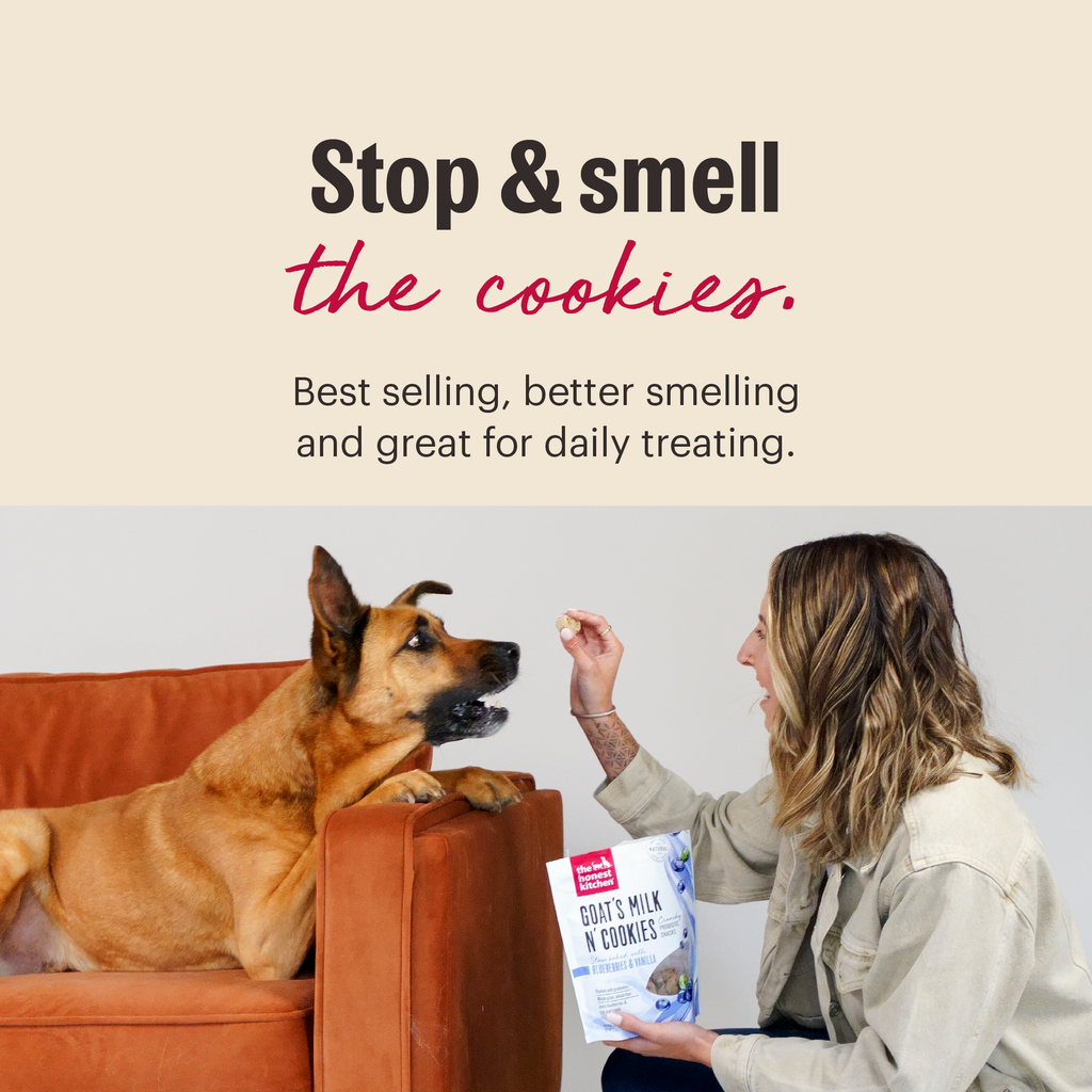 Dog Treat Cookie product image 3