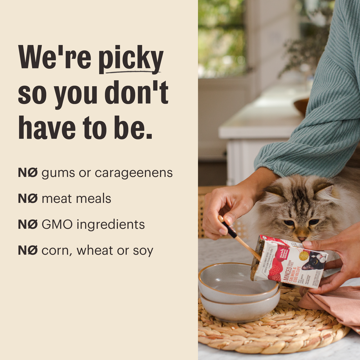 Wet Cat Food from The Honest Kitchen